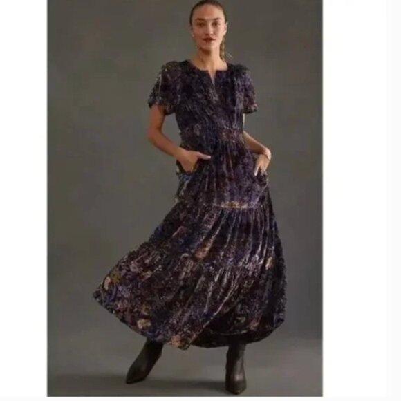 Anthropologie Somerset Maxi Dress Small Burnout Velvet Whimsigoth Fairycore - Picture 1 of 12